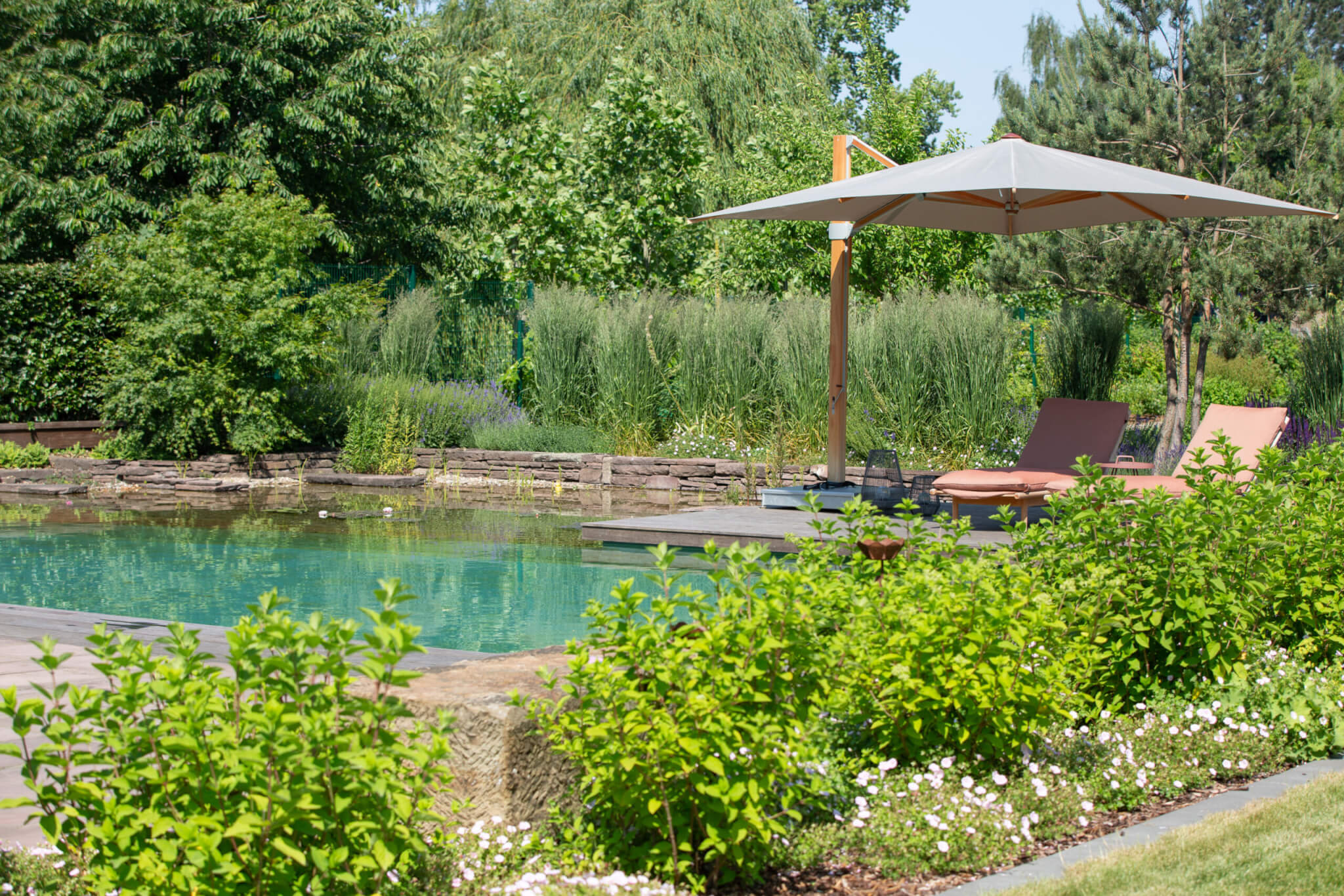 Naturnah | Schwimmteich